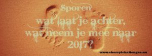 cc-blog-0023-sporen-wat-laat-je-achter-wat-neem-je-mee-naar-2017-paint